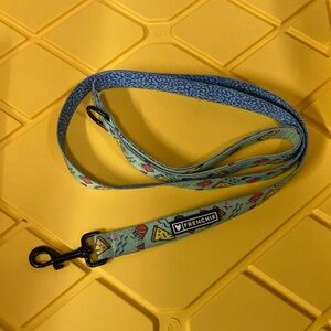 Frenchie Blue and Green Dog Leash with pizza design